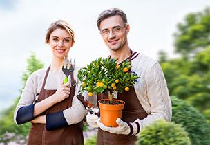 Проект «под ключ» где можно заказать по низкой цене  в Королеве