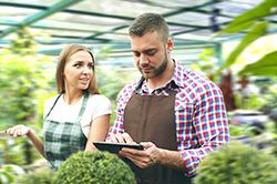 Дендроплан - верное планирование территории и решения этой задачи на уровне  в Королеве