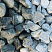 Kamenclub.ru: Щебень галтованный зеленый (змеевик) фр. 50-100 мм.  купить в Королеве галтовка мраморная зеленый, салатовый мрамор 12 500 руб/т   фото КАМЕНЬ КЛУБ