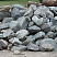Kamenclub.ru: Гранит скальник (серо-зеленый) фр. 100-500 мм.  купить в Королеве гранит зеленый, серый, салатовый крупный ландшафтный валун 6 000 руб/т   фото КАМЕНЬ КЛУБ