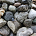 Kamenclub.ru: Речной валун Кабанчик фр.300-500 мм.  купить в Королеве крупный природный камень галька серый, темно-серый речной валун галечник масштабный 7000 руб/т   фото КАМЕНЬ КЛУБ