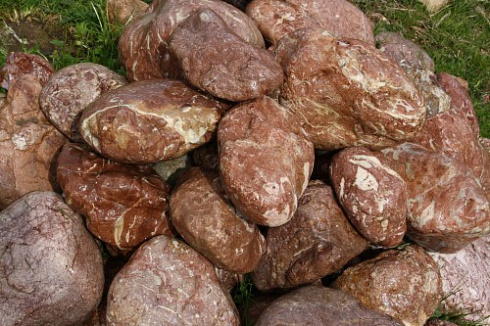 Kamenclub.ru: Розовый валунчик фр.100-300 мм.  купить в Королеве крупный природный камень розовый, серый молочный красный речной галечник природный 7850 руб/т   фото КАМЕНЬ КЛУБ