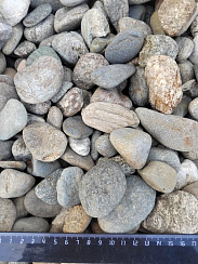 Kamenclub.ru: Галька речная окат (пестрая) фр. 20-40 мм. купить  в Королеве галька речная пестрая, серая, серые оттенки галька речная окатанная округлая 5000 руб/т   фото КАМЕНЬ КЛУБ