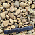 Kamenclub.ru: Галька речная окат рыжая фр. 20-40 мм. купить  в Королеве галька речная окатанная рыжая желтая серая округлая речная галька 5000 руб/т   фото КАМЕНЬ КЛУБ