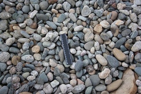 Kamenclub.ru: Галька речная окат (пестрая) фр. 20-40 мм. купить  в Королеве галька речная пестрая, серая, серые оттенки галька речная окатанная округлая 5000 руб/т   фото КАМЕНЬ КЛУБ