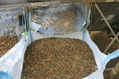 Kamenclub.ru: Галька окат (серо-желтая) фр.10-20 мм. купить  в Королеве галька серо-желтая, рыжая, серый речная окатанная округлая галька 5000 руб/т   фото КАМЕНЬ КЛУБ