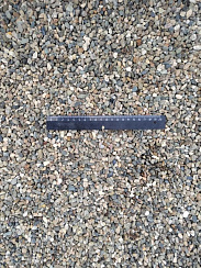 Kamenclub.ru: Галька речная окат (серая) фр.5-10 мм купить  в Королеве галька речная серая, серый, темно-серый, светло-серый, коричневый речная окатанная галька декоративная ландшатфная 5000 руб/т   фото КАМЕНЬ КЛУБ