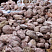 Kamenclub.ru: Розовый валунчик фр.100-300 мм.  купить в Королеве крупный природный камень розовый, серый молочный красный речной галечник природный 7850 руб/т   фото КАМЕНЬ КЛУБ