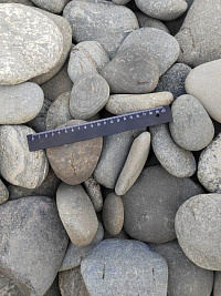 Kamenclub.ru: Галька речная плоская (серо-белая) фр. 70-120 мм. купить в Королеве галька галечник речной серый, белый окатанная плоская  природная галька 9000 руб/т   фото КАМЕНЬ КЛУБ