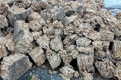 Kamenclub.ru: Крымский природный меотис фр. 100-500 мм.  купить в Королеве меотис бежевый рыжий молочный желтый ракушечник 4 500 руб/т   фото КАМЕНЬ КЛУБ