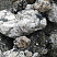 Kamenclub.ru: Черный гранит - кварцит фр. 100-500 мм.  купить в Королеве мрамор гранит черный с белыми прожилками, серый, белый валун скальный колотый 7000 руб/т   фото КАМЕНЬ КЛУБ