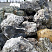 Kamenclub.ru: Черный гранит - кварцит фр. 500-1000 мм.  купить в Королеве гранит кварцит черный серый белый скальный колотый валун 9750 руб/т   фото КАМЕНЬ КЛУБ
