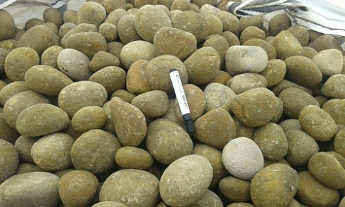 Kamenclub.ru: Песчаник ядра, фр. 100-300 мм  купить в Королеве песчаник бежевый серый рыжий речная галька 5 000 руб/т   фото КАМЕНЬ КЛУБ