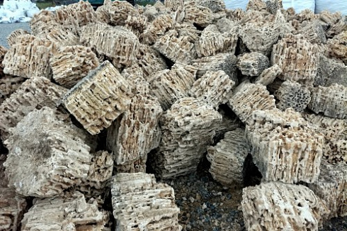 Kamenclub.ru: Крымский природный меотис фр. 100-500 мм.  купить в Королеве меотис бежевый рыжий молочный желтый ракушечник 4 500 руб/т   фото КАМЕНЬ КЛУБ