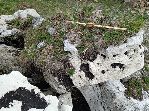 Kamenclub.ru: Выветренный известняк со мхом фр. 100-500 мм.  купить в Королеве известняк серый белый зеленый валун известняковый крупный 10000 руб/т   фото КАМЕНЬ КЛУБ