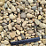 Kamenclub.ru: Галька речная окат рыжая фр. 20-40 мм. купить  в Королеве галька речная окатанная рыжая желтая серая округлая речная галька 5000 руб/т   фото КАМЕНЬ КЛУБ