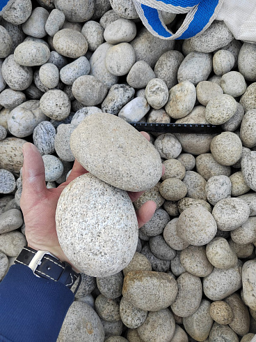 Kamenclub.ru: Галька речная окат (серо-белая) фр. 70-120 мм купить  в Королеве галька галечник бело-серая, серо-белая, серая, белая речная природная галька  8000 руб/т   фото КАМЕНЬ КЛУБ