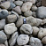 Kamenclub.ru: Темно-серый валунчик фр.100-300 мм.  купить в Королеве крупный природный камень серый, темно-серый, светло-серый речная галька большого размера окатанная 4500 руб/т   фото КАМЕНЬ КЛУБ