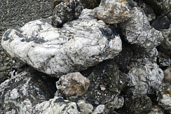 Kamenclub.ru: Черный гранит - кварцит фр. 500-1000 мм.  купить в Королеве гранит кварцит черный серый белый скальный колотый валун 9750 руб/т   фото КАМЕНЬ КЛУБ