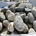 Kamenclub.ru: Речной валун (Ассорти) фр.100-300 мм.  купить в Королеве галечник серый, темно-серый, светло-серый речная галька крупных размеров 4200 руб/т   фото КАМЕНЬ КЛУБ