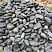 Kamenclub.ru: Темно-серый валунчик фр.100-300 мм.  купить в Королеве крупный природный камень серый, темно-серый, светло-серый речная галька большого размера окатанная 4500 руб/т   фото КАМЕНЬ КЛУБ