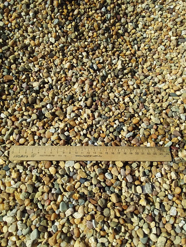 Kamenclub.ru: Галька окат (серо-желтая) фр.5-10 мм. купить  в Королеве галька речная рыжий, желтый, рыжий, серо-желтый речная окатанная галька декоративная 5000 руб/т   фото КАМЕНЬ КЛУБ