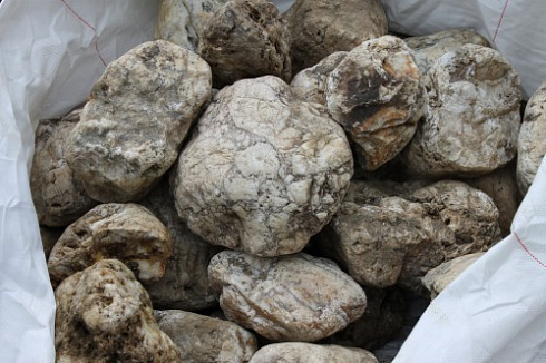 Kamenclub.ru: Кварцевый валунчик фр.100-300 мм.  купить в Королеве кварц белый, бежевый молочный рыжий крупный природный камень галечник 7850 руб/т   фото КАМЕНЬ КЛУБ