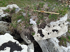 Kamenclub.ru: Выветренный известняк (степной) фр. 500-1500 мм.  купить в Королеве    10000 руб/т   фото КАМЕНЬ КЛУБ