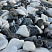 Kamenclub.ru: Мраморная крошка (щебень галтованный микс:: белый-черный) фр.20-40 мм  купить в Королеве мрамор белый, черный мраморный галтованный щебень 15500 руб/т   фото КАМЕНЬ КЛУБ