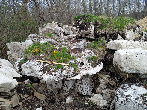 Kamenclub.ru: Выветренный известняк со мхом фр. 100-500 мм.  купить в Королеве известняк серый белый зеленый валун известняковый крупный 10000 руб/т   фото КАМЕНЬ КЛУБ