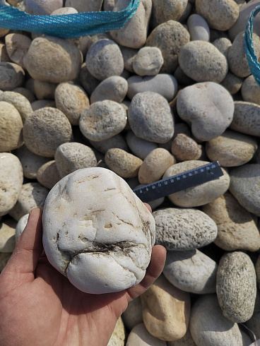 Kamenclub.ru: Галька речная окат (серо-белая) фр. 70-120 мм купить  в Королеве галька галечник бело-серая, серо-белая, серая, белая речная природная галька  8000 руб/т   фото КАМЕНЬ КЛУБ