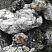 Kamenclub.ru: Черный гранит - кварцит фр. 100-500 мм.  купить в Королеве мрамор гранит черный с белыми прожилками, серый, белый валун скальный колотый 7000 руб/т   фото КАМЕНЬ КЛУБ