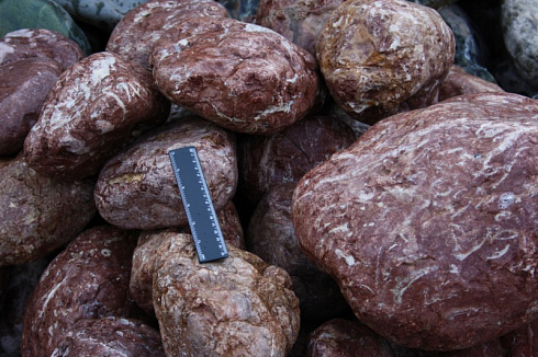 Kamenclub.ru: Розовый валунчик фр.100-300 мм.  купить в Королеве крупный природный камень розовый, серый молочный красный речной галечник природный 7850 руб/т   фото КАМЕНЬ КЛУБ