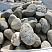 Kamenclub.ru: Речной валун (Ассорти) фр.100-300 мм.  купить в Королеве галечник серый, темно-серый, светло-серый речная галька крупных размеров 4200 руб/т   фото КАМЕНЬ КЛУБ