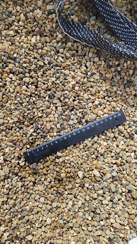 Kamenclub.ru: Галька окат (серо-желтая) фр.5-10 мм. купить  в Королеве галька речная рыжий, желтый, рыжий, серо-желтый речная окатанная галька декоративная 5000 руб/т   фото КАМЕНЬ КЛУБ