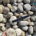 Kamenclub.ru: Галька речная окат (серо-белая) фр. 70-120 мм купить  в Королеве галька галечник бело-серая, серо-белая, серая, белая речная природная галька  8000 руб/т   фото КАМЕНЬ КЛУБ