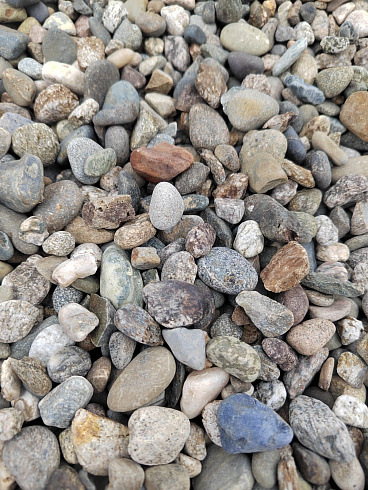 Kamenclub.ru: Галька речная окат (серая) фр.10-20 мм купить  в Королеве галька речная серая, серый, темно-серый, светло-серый, коричневый ландшафтная декоративная речная окатанная округлая галька 5000 руб/т   фото КАМЕНЬ КЛУБ