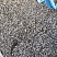 Kamenclub.ru: Галька речная окат (серая) фр.3-5 мм купить  в Королеве галька речная серая бежевый темно-серый окатанный речной камень округлый 9500 руб/т   фото КАМЕНЬ КЛУБ