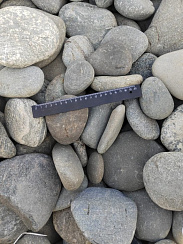 Kamenclub.ru: Галька речная плоская (ассорти) фр. 70-150 мм. купить в Королеве галька галечник серый белый темно-серый синий светло-серый плоская природная галька  9000 руб/т   фото КАМЕНЬ КЛУБ