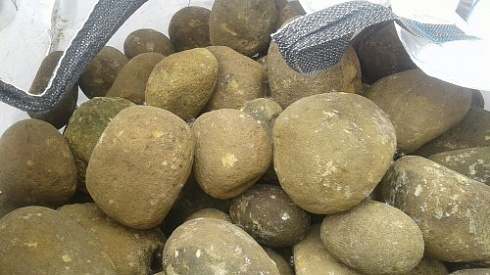 Kamenclub.ru: Песчаник ядра, фр. 100-300 мм  купить в Королеве песчаник бежевый серый рыжий речная галька 5 000 руб/т   фото КАМЕНЬ КЛУБ