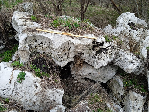 Kamenclub.ru: Выветренный известняк со мхом фр. 100-500 мм.  купить в Королеве известняк серый белый зеленый валун известняковый крупный 10000 руб/т   фото КАМЕНЬ КЛУБ