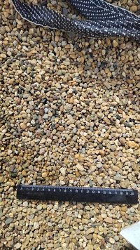 Kamenclub.ru: Галька окат (серо-желтая) фр.5-10 мм. купить  в Королеве галька речная рыжий, желтый, рыжий, серо-желтый речная окатанная галька декоративная 5000 руб/т   фото КАМЕНЬ КЛУБ