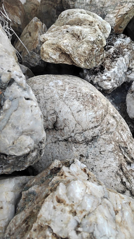 Kamenclub.ru: Кварцевый валунчик фр.100-300 мм.  купить в Королеве кварц белый, бежевый молочный рыжий крупный природный камень галечник 7850 руб/т   фото КАМЕНЬ КЛУБ