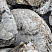 Kamenclub.ru: Кварцевый валунчик фр.100-300 мм.  купить в Королеве кварц белый, бежевый молочный рыжий крупный природный камень галечник 7850 руб/т   фото КАМЕНЬ КЛУБ