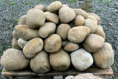 Kamenclub.ru: Песчаник ядра, фр. 100-300 мм  купить в Королеве песчаник бежевый серый рыжий речная галька 5 000 руб/т   фото КАМЕНЬ КЛУБ