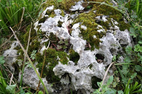 Kamenclub.ru: Выветренный известняк со мхом фр. 100-500 мм.  купить в Королеве известняк серый белый зеленый валун известняковый крупный 10000 руб/т   фото КАМЕНЬ КЛУБ