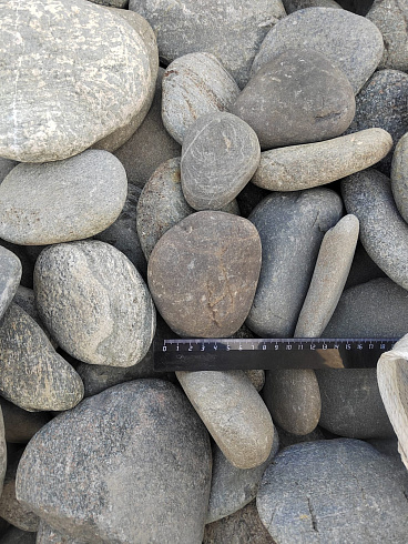 Kamenclub.ru: Галька речная плоская (ассорти) фр. 70-150 мм. купить  в Королеве галька галечник серый белый темно-серый синий светло-серый плоская природная галька  9000 руб/т   фото КАМЕНЬ КЛУБ