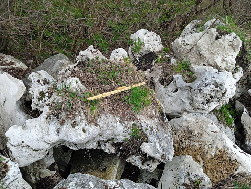 Kamenclub.ru: Выветренный известняк (степной) фр. 500-1500 мм.  купить в Королеве    10000 руб/т   фото КАМЕНЬ КЛУБ