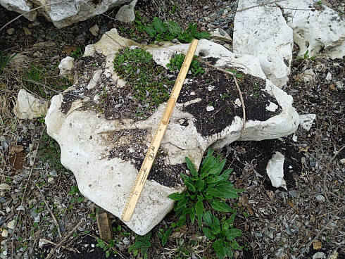 Kamenclub.ru: Выветренный известняк (степной) фр. 500-1500 мм.  купить в Королеве    10000 руб/т   фото КАМЕНЬ КЛУБ