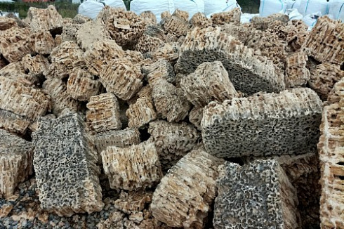 Kamenclub.ru: Крымский природный меотис фр. 100-500 мм.  купить в Королеве меотис бежевый рыжий молочный желтый ракушечник 4 500 руб/т   фото КАМЕНЬ КЛУБ